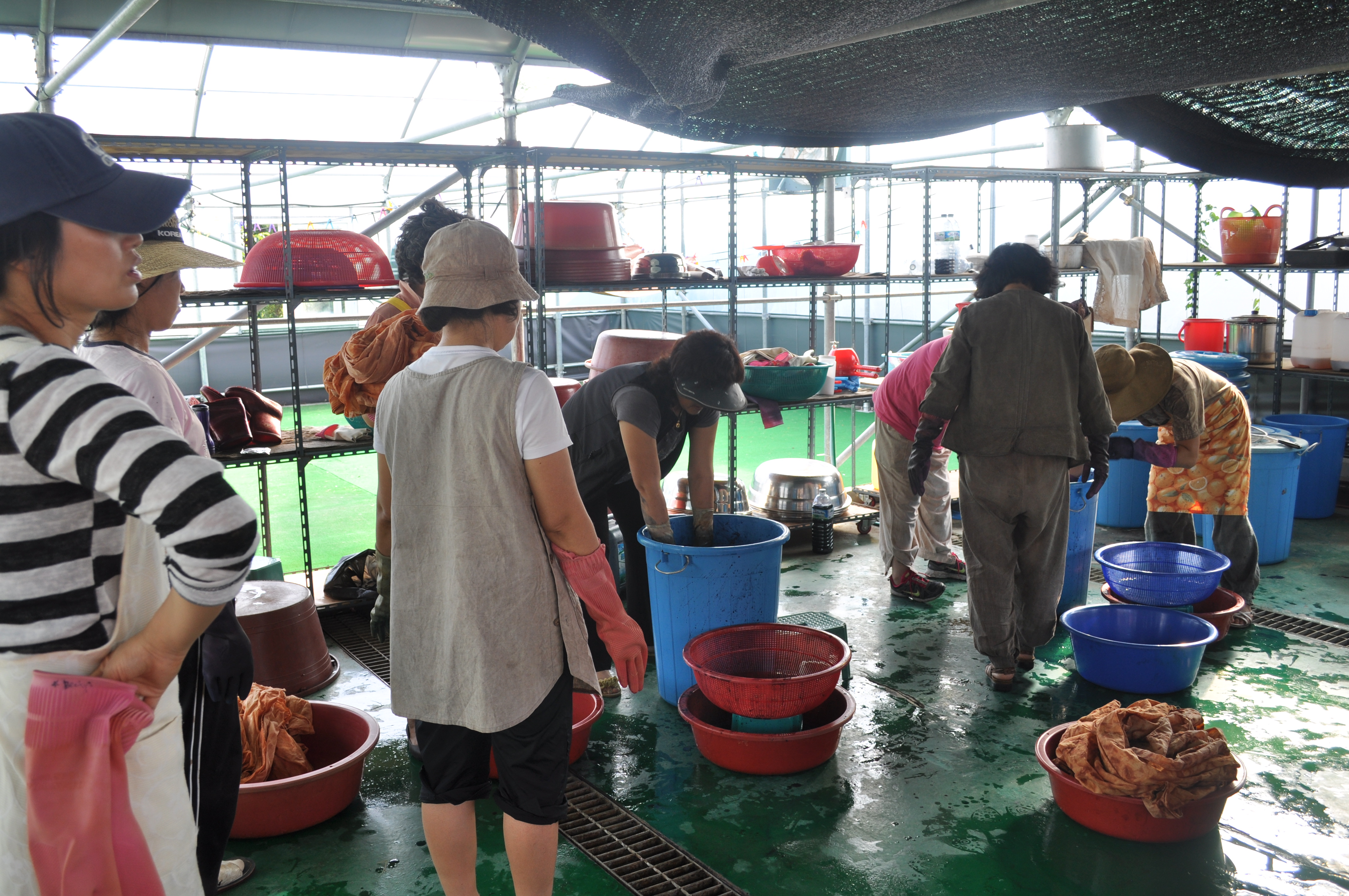 천연염색 기술교육(6회차, 복합염색)